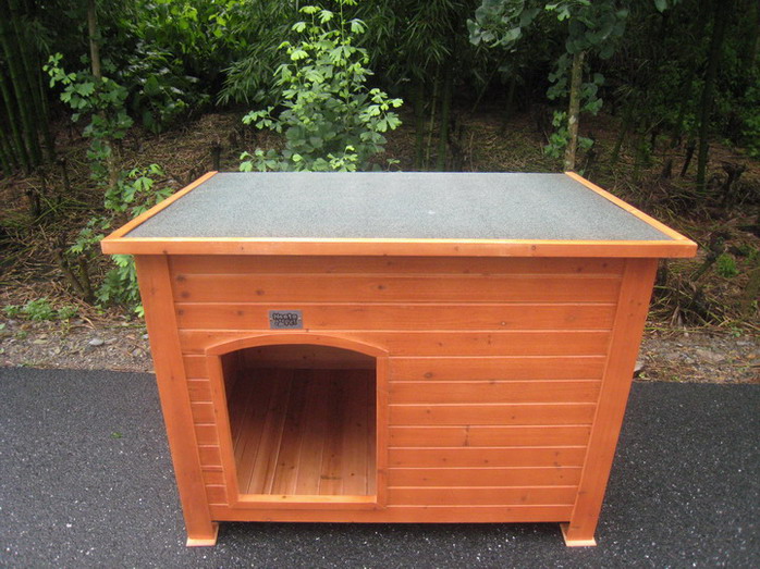 dog house