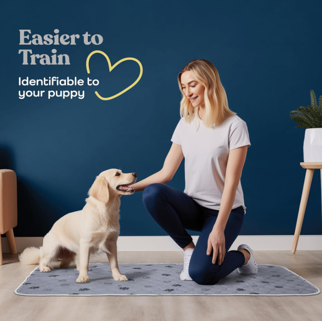 Super Absorbent Washable Pee Pads for Dogs - 2-Pack Superior Reusable Puppy Pads Pet Training Pads –00% Waterproof Dog Pee Pad Protects Against Urine Leakage Non-Slip Grip Prevents Slipping& Bunchin
