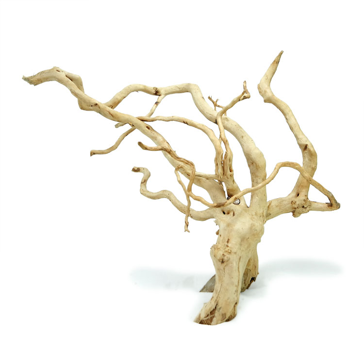 Funky Natural Rhododendron Roots; Essential Material for Creating Landscapes in Grass Tanks, Rainforest Tanks, and Reptile Enclosures